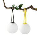 Globus portable light
