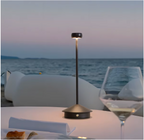 Arrowro table lamp
